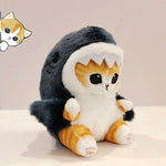 Cute Shark Cat